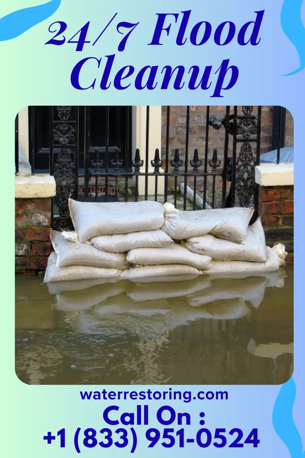 24/7 Flood Cleanup in Webster City, IA