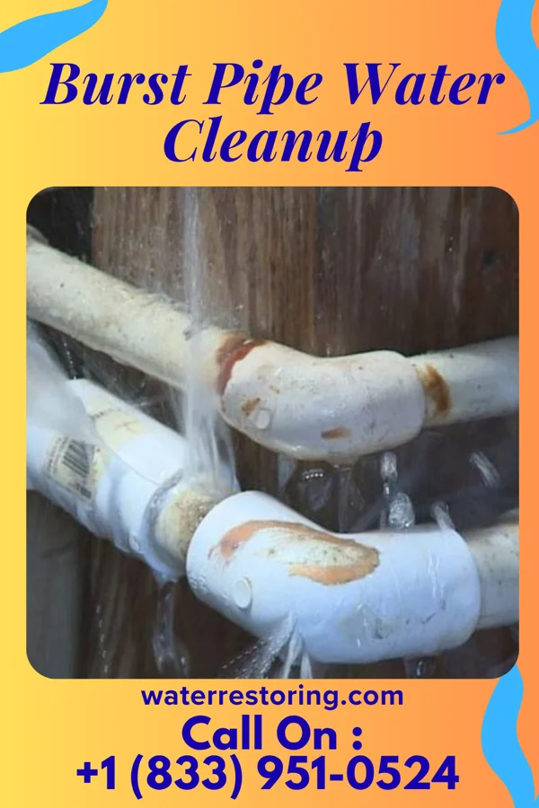 Burst Pipe Water Cleanup in Webster City, IA