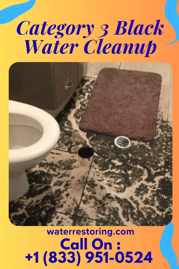Category 3 Black Water Cleanup in Webster City, IA
