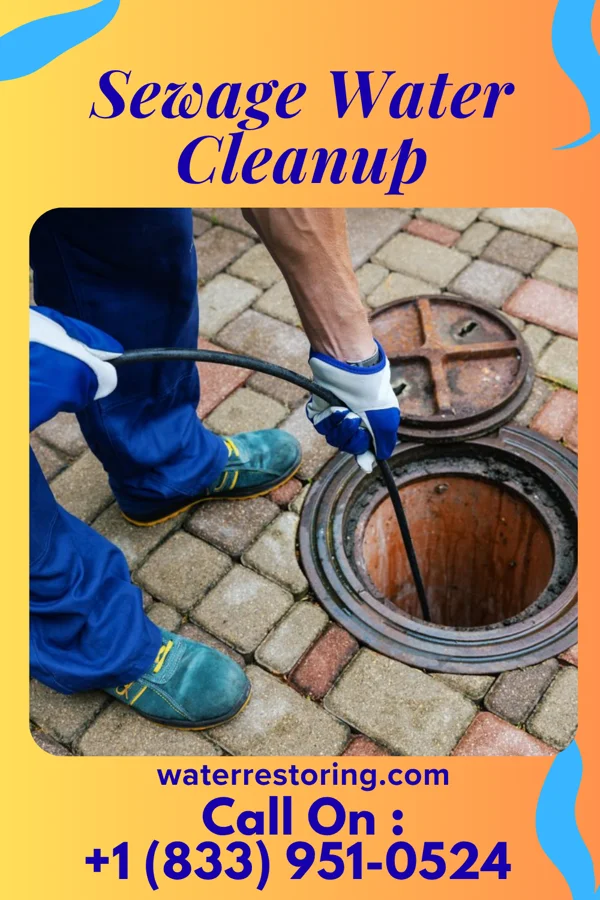 Sewage Water Cleanup in Webster City, IA